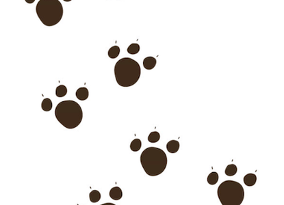 Footprints
