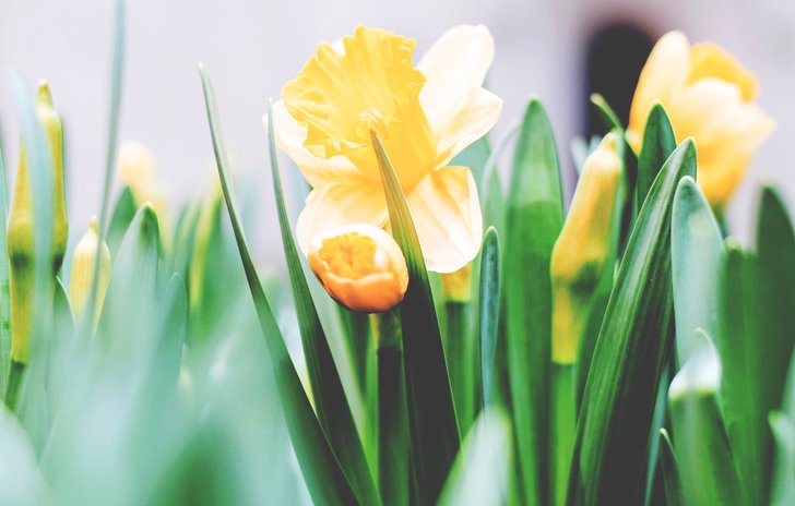 Easter themed activities