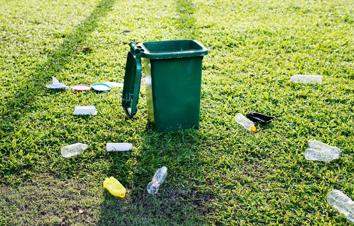 Looking after the environment