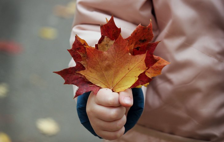 handful of leaves