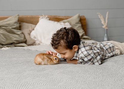 Little Peter rabbit