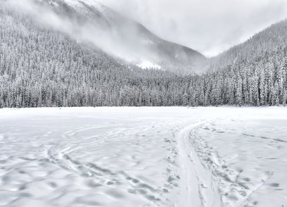 Winter reading and activities