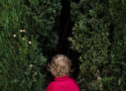 treasure hunt