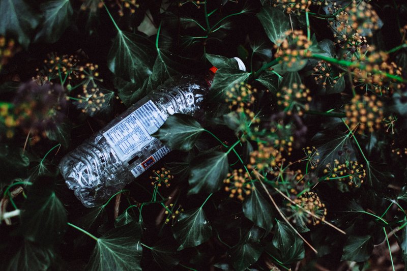 plastic bottle plant pot