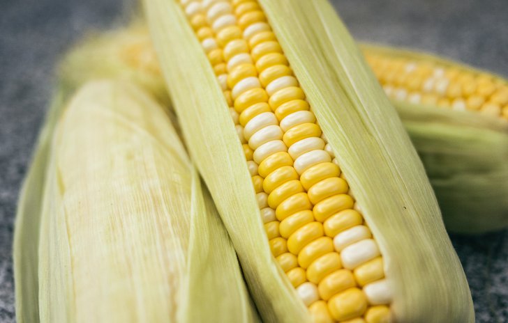 Corn nursery rhyme
